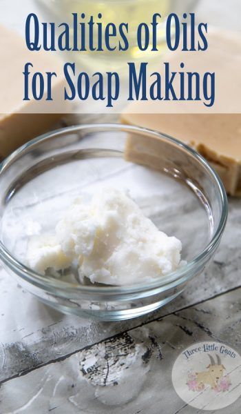 Qualities of Oils for Soap Making Oils For Soap Making, Soap Making Tutorials, Easy Soap Recipes, Milk Products, Homestead Ideas, Homemade Scrub, Soap Ideas, How To Make Oil, Amazing Crafts