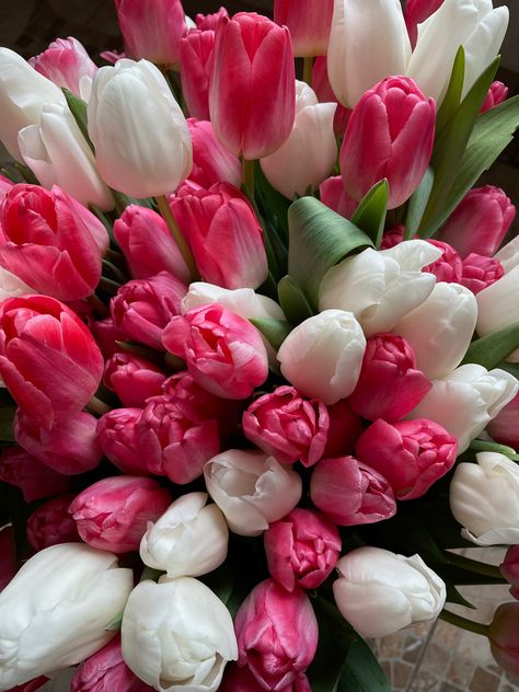 #tulips #saintpetersburg #lovestay #march #internationalwomensday March Esthetics, March Aesthetic, St Petersburg, Tulips, Flowers