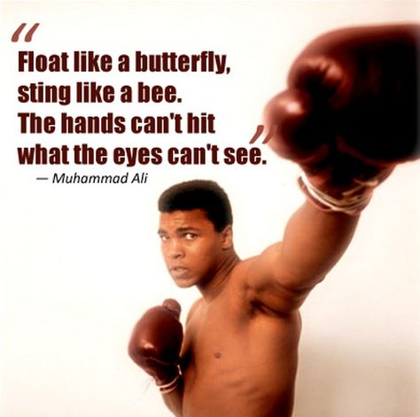 Float like a butterfly, sting like a bee His hands can't hit what the eyes can't see! Muhammad Ali Quotes, Black Superman, Mohammad Ali, Training Quotes, Muhammed Ali, Sting Like A Bee, Float Like A Butterfly, Mohammed Ali, Butterfly Quotes