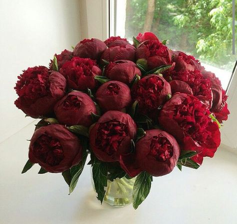 Beautiful Crimson Flowers Aesthetic, Red Peony Flower, Red Peonies Aesthetic, Bouquet Of Flowers Aesthetic Red, Burgundy Peony, Red Peonies, Boquette Flowers, Nothing But Flowers, Happy Flowers