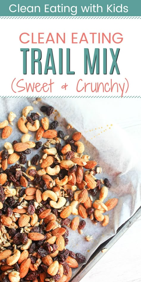 Homemade Trail Mix Recipes, Healthy Trail Mix Recipes, Clean Eating With Kids, Trail Mix Recipe, Healthy Trail Mix, Trail Mix Recipes, Homemade Trail Mix, Clean Eating Lunch, Kid Friendly Snack