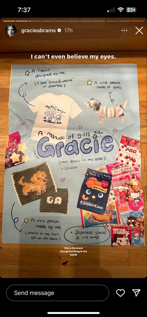 Gracie Abrams Journal, Japanese Snacks, Gracie Abrams, Mini Pouches, I Cant Even, Fav Celebs, I Icon, Love You More, Tshirt Designs