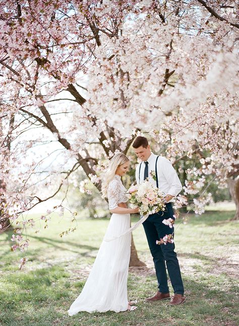 Stunning Cherry Blossom Wedding Photos under Blooming Spring Trees Bloom Photoshoot, Cherry Blossom Wedding Theme, Sakura Wedding, Spring Wedding Photography, Crop Top Wedding Dress, Seasons Photography, Orchard Wedding, Groom Photography, Spring Engagement Photos