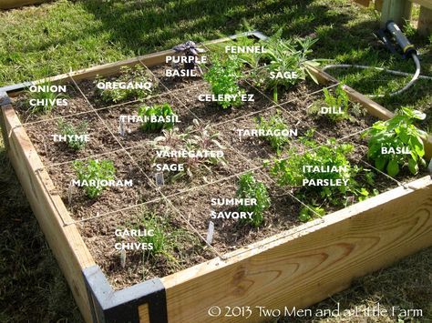 Square foot herb gardening cheat sheet Raised Bed Herb Garden, Raised Bed Garden Layout, Raised Herb Garden, Backyard Herb Garden, Square Foot Gardening Layout, Garden Bed Layout, Small Herb Gardens, Outdoor Herb Garden, Raised Bed Garden Design