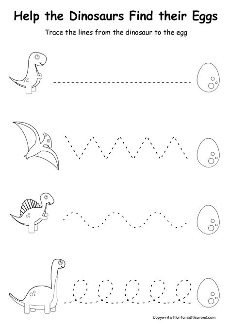 Your kids can practice their prewriting skills with these dinosaur preschool worksheets. Your children can develop their fine motor skills by carefully tracing the lines to help the dinosaurs reach the eggs. You can grab these free printable dinosaur worksheets over at Nurtured Neurons. #dinosaurworksheets #preschoolworksheets #prewriting #prewritingsheets #tracethelines #preschooldinosaur #dinosaurprintables #dinosauractivities #finemotorsheets Simple Preschool Worksheets, Dinosaur Class Activities, Dinasour Worksheets Preschool, Worksheets For Age 3, Preschool Pdf Free Printable, Dry Erase Worksheets Preschool, Free Print Outs For Preschoolers, Fine Motor Skills Dinosaurs, Prek Tracing Worksheets Free