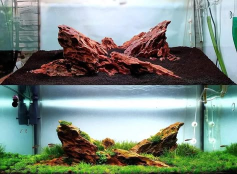 Ohko Stone Aquascape, Dragon Stone Aquarium, Dragon Stone Aquascape, Big Aquarium, Aquascape Design, Dragon Stone, Aquarium Setup, Aquarium Landscape, Planted Tank