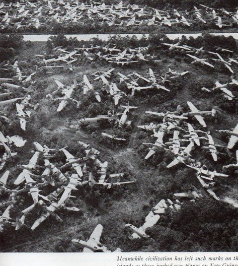 Beauty Bone, Modern Fighter Jets, Strange Birds, Airplane Boneyard, Airplane Graveyard, Wwii Airplane, Wwii Plane, Ww2 Planes, Wwii Aircraft