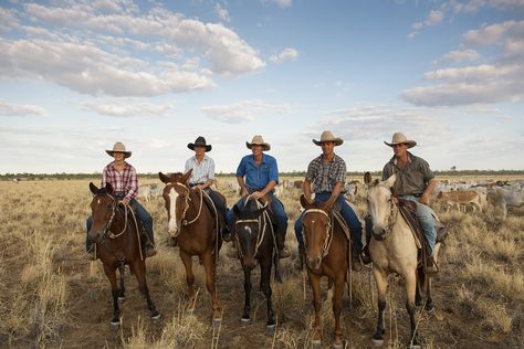 Australian Farm, Cattle Farm, Cattle Ranch, Real Cowboys, Farm Lifestyle, Outback Australia, Cattle Ranching, Cattle Farming, Australian Shepherd Dogs