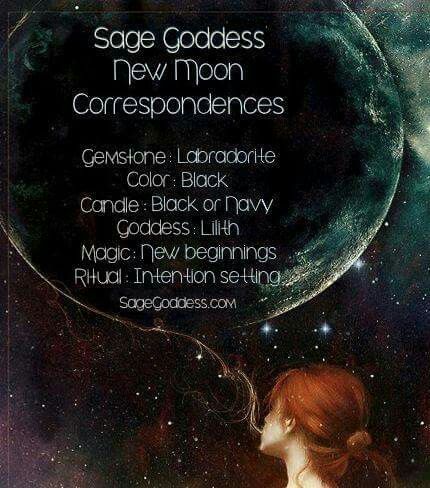 New Moon Correspondence Full Moon Correspondences, Moon Correspondences, Full Moon Spells, Wicca Spells, New Moon Phase, Moon Magick, Lunar Moon, Green Witchcraft, New Moon Rituals