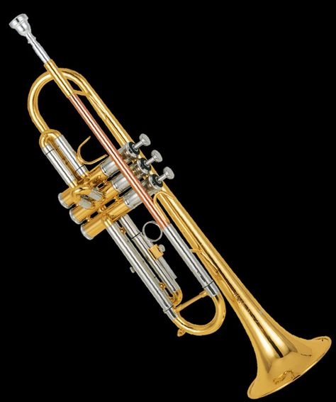 Trumpet Brass Music, Trumpet Music, Trumpet Players, Brass Instruments, Band Nerd, Trumpeter, Trumpets, Jazz Festival, Trombone