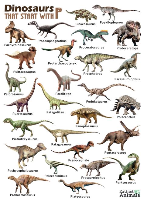 Dinosaurs Names And Pictures, Dinosaur Names, Dinosaurs Extinction, Dinosaur Types, Long Neck Dinosaur, Dinosaur Facts, Real Dinosaur, Dinosaur Train, All Dinosaurs