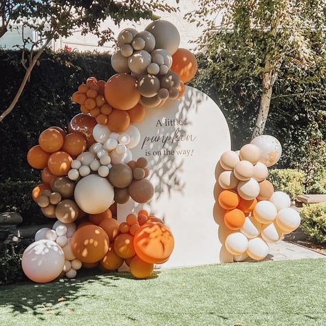 A little pumpkin on the way! 🎃✨✨ #falldecor #fall #balloongarland #balloondecor #balloonartist #balloonart #fallballoons #pumpkin Pumpkin Gender Reveal Balloon Arch, Gender Reveal Balloon Arch, Little Pumpkin On The Way, Pumpkin On The Way, Pumpkin Gender Reveal, Gender Reveal Balloons, Balloon Art, Balloon Arch, Balloon Garland