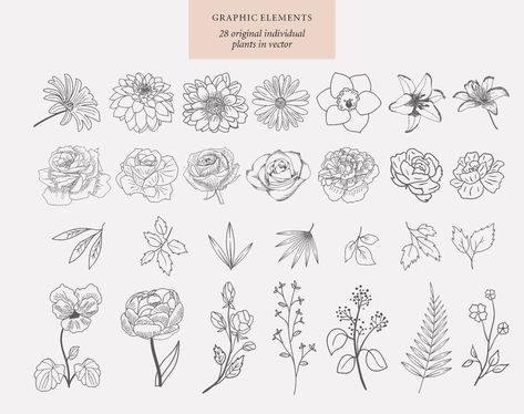 Illustration Tips, Flower Stencils, Clipart Flowers, Flowers Peonies, Scrapbooking Vintage, Botanical Drawing, Sketch Journal, Flower Stickers, Drawing Flowers