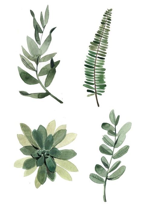 felicita sala illustration: Greenery Art, Illustration Botanique, Watercolor Plants, Plant Drawing, Art Et Illustration, Pretty Plants, Plant Illustration, Watercolor Inspiration, Art And Illustration