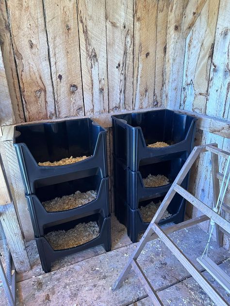 Everything Backyard Chicken! | My nesting boxes for my chickens 🙂 Nesting Boxes Diy, Chicken Coop Designs Diy, Chicken Boxes, Easy Chicken Coop, Stacking Shelves, Chicken Care, Chicken Coup, Chicken Nesting Boxes, Chicken Feeders