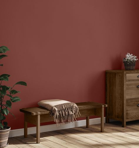 Terra Cotta Paint Color, Coral Accent Walls, Terracotta Paint, Red Paint Colors, Living Room Paint Colors, Living Room Wall Color, Room Wall Colors, House Color Palettes, Brick Exterior House