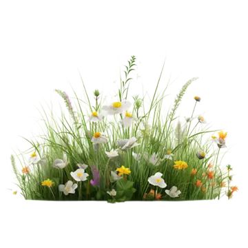 flower landscape,natural ecology,grass,plant,flowers,floral,flowering,illustration,green grass,decoration,spring,green,flowers,summer,pattern,grass,flowering flower,flowers and grass,leaf,cartoon,decorative pattern,natural,flower,petal,terrestrial plant,flowering plant,tableware,annual plant,flower arranging,landscape Leaf Cartoon, Grass Png, Grass Decoration, Flower Blooming, Logo Cloud, Grass Flower, Fall Music, Vector Trees, Black And White Tree