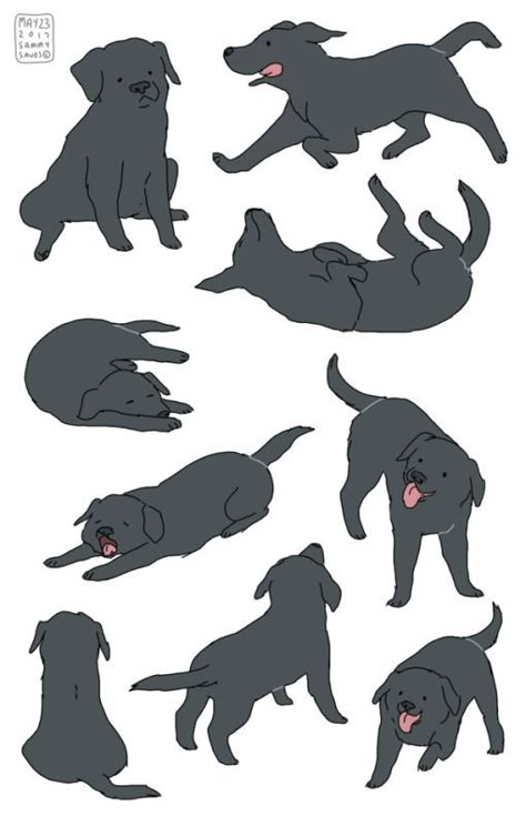 Black Dogs, 강아지 그림, Arte Inspo, Dog Illustration, Animal Sketches, Dog Drawing, Cute Animal Drawings, Malbec, Drawing Poses