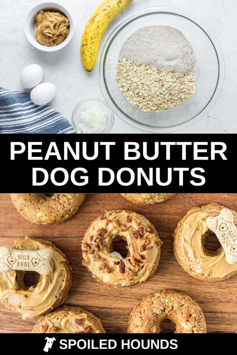 Homemade Peanut Butter Dog Donuts made with banana, whole wheat flour, oats, and eggs. Get the easy recipe and find out how to make the best peanut butter donuts for dogs with simple ingredients. These doggy donuts have healthy and wholesome ingredients with no preservatives. Dog doughnuts are great DIY treats to make for dog birthday parties. #dogtreats #homemadedogtreats #diydogtreats #dogdonuts Donuts For Dogs, Dog Birthday Parties, Sweet Potato Peanut Butter, Pet Bakery, Dog Treats Homemade Easy, Easy Dog Treat Recipes, Dog Biscuit Recipes, Easy Dog Treats, Healthy Dog Treats Homemade