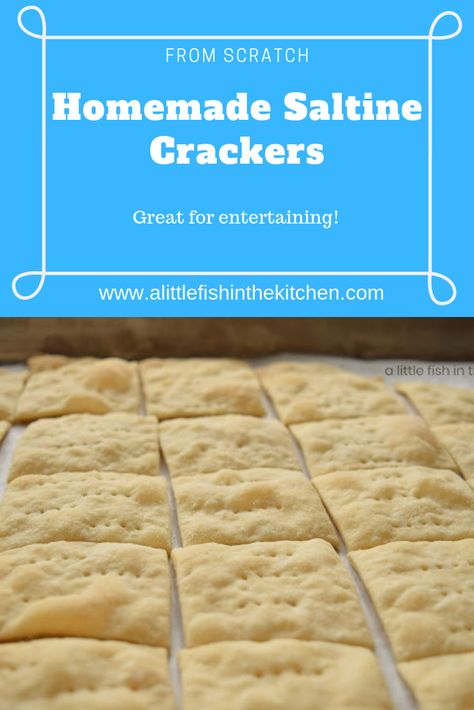 Saltine Crackers Recipe, Homemade Saltine Crackers, Saltine Cracker Recipes, Crackers Homemade, Homemade Crackers Recipe, Saltine Cracker, Soda Crackers, Cracker Recipe, Sliced Cheese