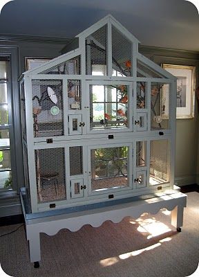 Canary cage at Martha Stewart's home Canary Cage, Diy Bird Cage, Bird Cage Design, Parakeet Cage, Pet Bird Cage, Canary Birds, Bird House Kits, Bird Aviary, Bird Cage Decor