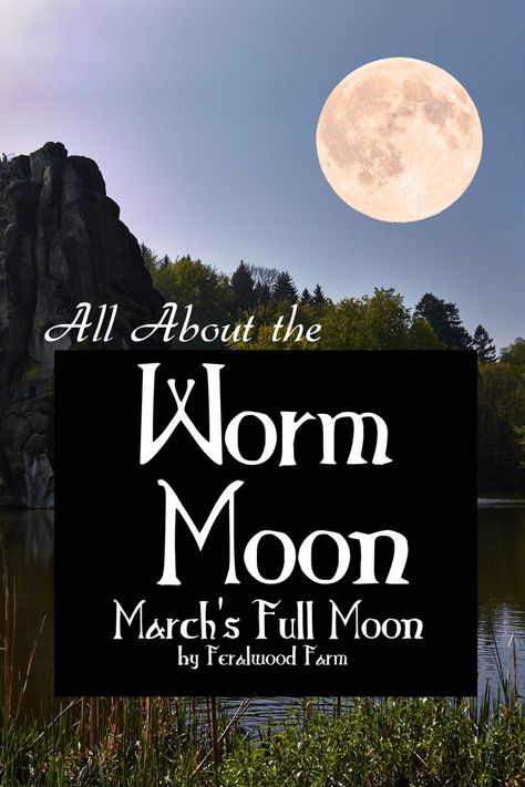 Learn about the Worm Moon, March’s Full Moon. Learn about the history, alternative names, correspondences, and how to utilize its energy in your magickal workings. Worm Moon Meaning, Worm Moon Ritual, Full Worm Moon, March Moon, Witches Grimoire, Full Moon Magic, Worm Moon, Full Moon Names, Full Moon Eclipse