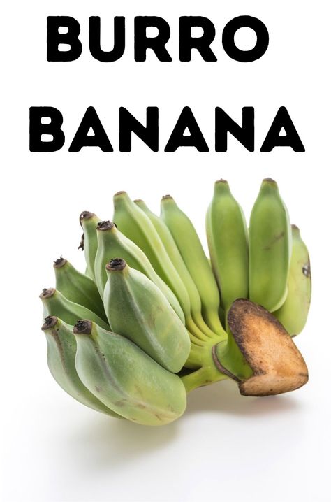 Burro Bananas Burro Banana Recipes, Burro Banana, How To Grow Bananas, Banana Benefits, Banana Plants, Banana Peel, Banana Healthy, Natural Hair Inspiration, Banana Recipes