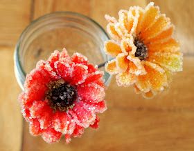 how to grow borax crystal flowers                                                                                                                                                                                 More Borax Crafts, Making Crystals, Science Diy, Borax Crystals, Growing Crystals, Salt Crystals, Creative Creations, Crystal Flowers, Glass Rocks