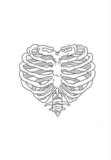 #drawing #heart #ribs #ribcage #shading Human Ribcage Drawing, Heart Shaped Rib Cage Tattoo, Skull Heart Drawing, Simple Ribcage Drawing, Skeleton Heart Drawing, Heart Ribcage Tattoo, Ribcage Drawing Easy, Ribcage Drawing Reference, Grunge Heart Drawing