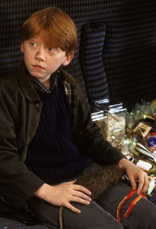 harry potter e a pedra filosofal Rupert Grint Ron Weasley, Weasley Harry Potter, Glume Harry Potter, Robbie Coltrane, Harry Potter Ron Weasley, Julie Christie, Ronald Weasley, Harry Potter Ron, Oliver Phelps