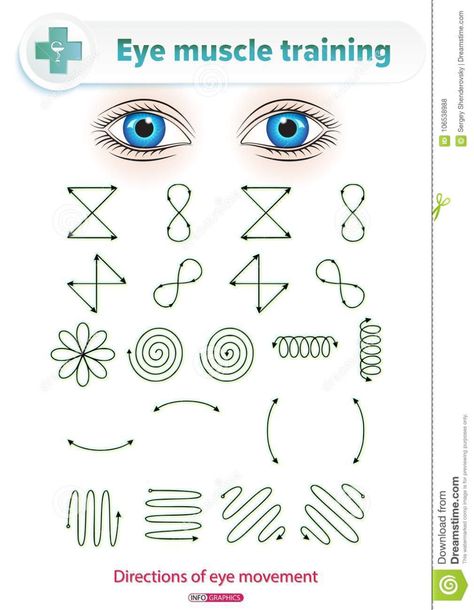 Eye Muscle Training stock vector. Illustration of examining - 106538988 Eye Rest Exercises, Eye Muscle Exercises, Lazy Eye Exercises, Eye Workout, Muscles Illustration, Plan Lector, Eye Muscles, Preschool Skills, Makeup For Small Eyes