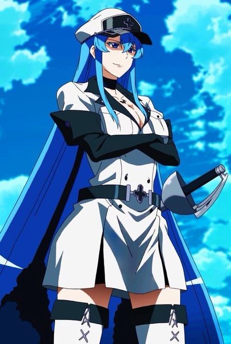 General Esdeath Leona League Of Legends, Akame Ga, Anime Canvas, An Anime, Manga Girl, Blue Hair, Anime Character, Aesthetic Anime, Anime Drawings