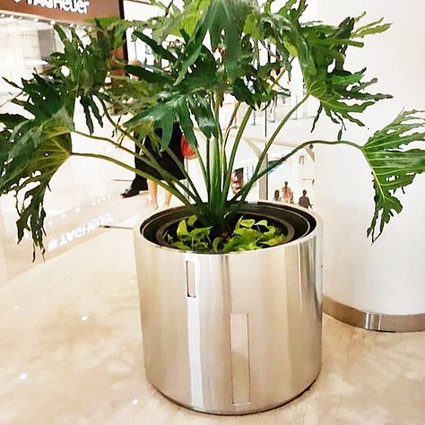 JayaStainless.com - Pot tanaman stainless steel dimensi bulat ukuran besar terpampang elegan di dalam mall.  Aplikasi umum : Kantor, Bank, lobby dan area lift Hotel, Pertokoan, Rumah Tinggal, Cafe, dsb. Bank Lobby, Pot Tanaman, Lobby, Planter Pots, Cafe, Hotel, Stainless Steel, Plants