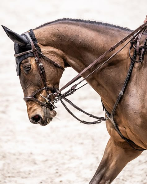 Back in stock: Bhoof Bridle 4. This bridle features a slimmer headpiece. Comes in full, cob and pony. Link in bio. #Bhoof #PederFredricson #ShowJumping Horse Drawing Reference, Horse Collection, Equestrian Aesthetic, Horse Bridle, Equestrian Sports, Horse Drawing, Bridles, Hobby Horse, Door Knocker