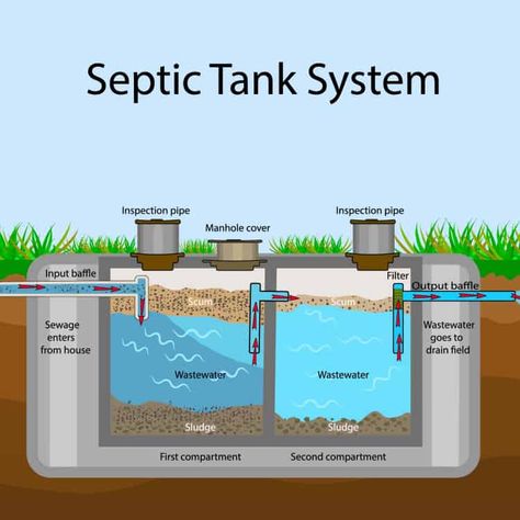 Should You Buy a House with a Septic Tank? Septic Tank 101 (June 2021) - Millennial Homeowner Septic Tank Problems, Fossa Séptica, Septic Tank Design, Diy Septic System, Septic Tank Systems, Grey Water System, Underground Drainage, Septic Systems, Composting Toilets