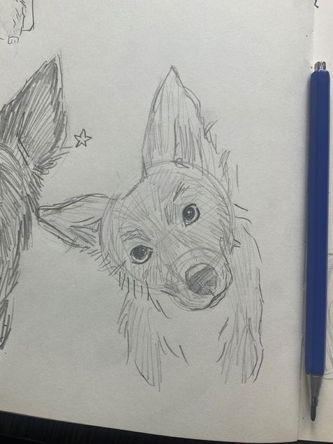 Semi Realistic Dog Drawing, Border Collie Dog Drawing, Dog Drawing Border Collie, Border Collie Cartoon Drawing, Dog Art Easy, Border Collie Drawing Pencil, Dog Art Sketch, Border Collie Sketch Drawings, How To Draw A Border Collie