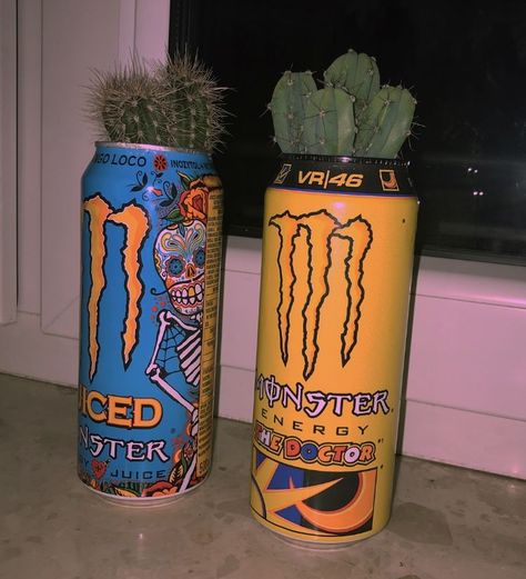 Monster Energy Drink, Energy Drink, Monster Energy, In The Middle, The Middle, Cactus, Energy, Tumblr, Plants