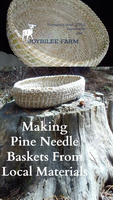 Pine Needle Crafts, Needle Weaving, Basket Weaving Diy, Weaving Diy, Basket Weaving Patterns, Pine Needle Baskets, Coiled Baskets, Homesteading Skills, Deco Nature