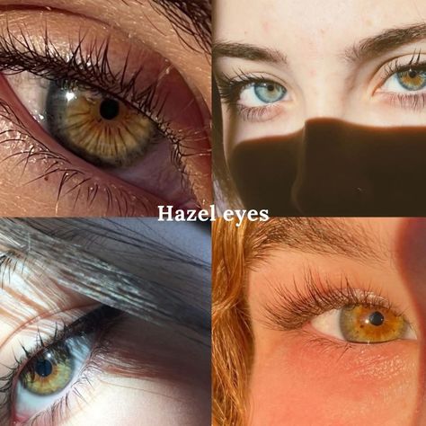 Which one's yours?? #eyes#blueeyes#greeneyes#browneyes#blackeyes#hazeleyes#iadoreme#selfcare#selflove#glowup Types Of Eye Colors, Green Eye Contacts, Pretty Eyes Color, Purple Contacts, Eye Contacts, Cartoon Eyes Drawing, Eyes Color, Types Of Eyes, Green Eye