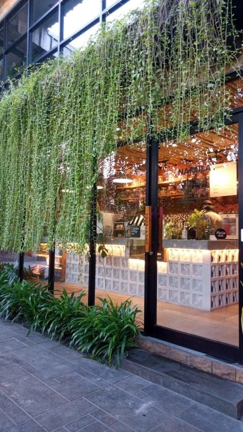 Bistro Interior, Greenhouse Cafe, Diy Decoration Ideas, Courtyard Cafe, Restaurant Exterior Design, Home Decor Business, Green Cafe, Decor Business, Patio Flowers