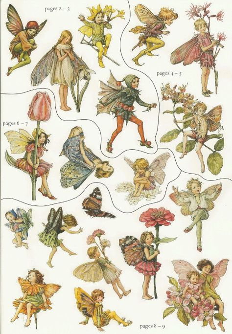 Desain Buklet, Vintage Fairies, Flower Fairies, Arte Sketchbook, Fairytale Art, Vintage Poster Art, Art Collage Wall, Flower Fairy, Fairy Art