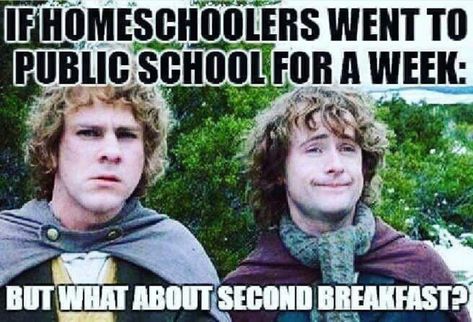 Benefits of homeschooling: second breakfast! Funny homeschool meme. What About Second Breakfast, Homeschool Humor, Homeschool Quotes, Second Breakfast, Homeschool Life, Laugh At Yourself, Morning Humor, Book Stuff, Middle Earth