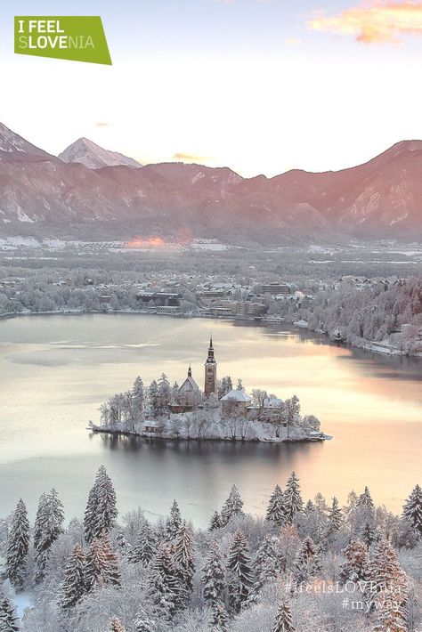 Triglav National Park, Lake Bled Slovenia, Most Beautiful Places To Visit, Bled Slovenia, Slovenia Travel, Winter Travel Destinations, Lake Bled, Lake Water, Future Travel