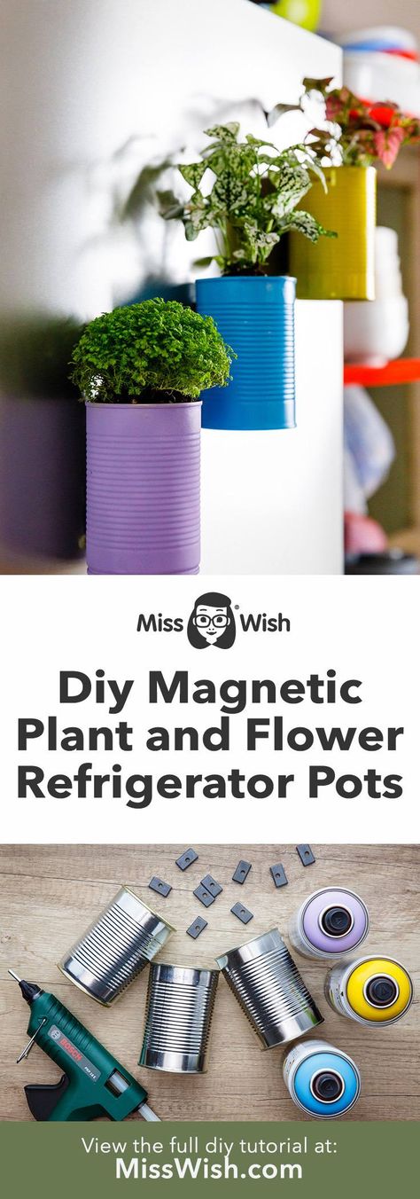 Diy Magnetic Plant and Flower Pots for the Refrigerator - Miss Wish Diy Magnetic Planter, Magnetic Plant Pots, Plant Holder Diy, Fridge Decor, Diy Vase, Container Garden, Diy Planters, Succulents Diy, Favorite Hobby