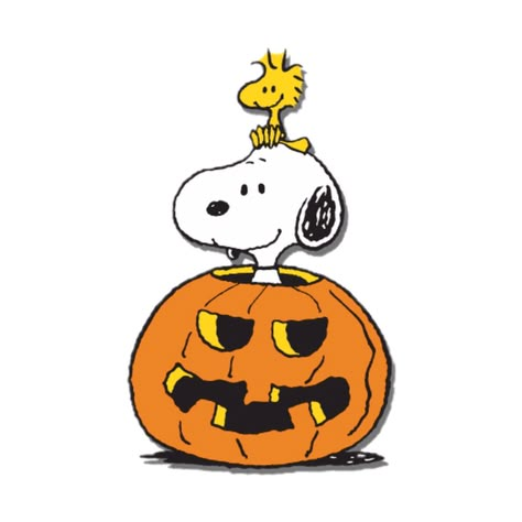 Halloween Snoopy And Woodstock, Snoopy Woodstock Halloween, Snoopy Halloween Drawing, Snoopy And Woodstock Fall, Woodstock Pumpkin Carving, Charlie Brown And Snoopy Halloween, Snoopy Ghost, Snoopy And Woodstock Halloween, Peanut Halloween