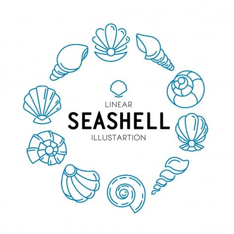 Beach Dolphin, Pirate Treasure Maps, Funny Art Prints, Seashells Patterns, Salon Logo Design, Seashell Wall Art, Spa Logo, Coral Watercolor, Logo Design Free