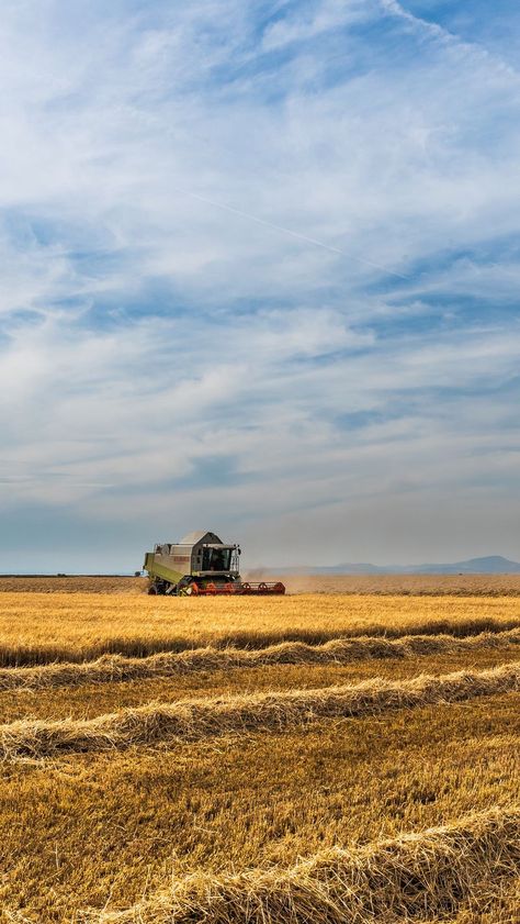 Wallpaper Farm, Agriculture Photography, Farmers Day, Crop Field, Farm Field, Fields Of Gold, Book Cover Illustration, Hd Backgrounds, Wallpapers Hd