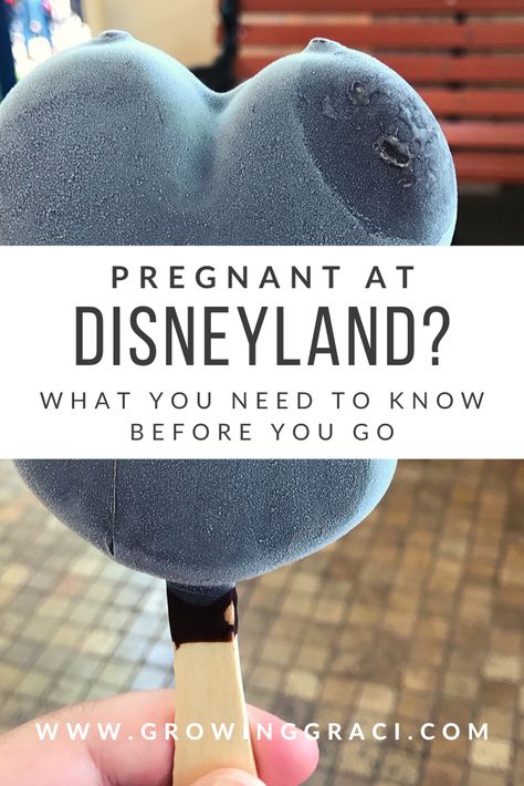 Visiting Disneyland pregnant may not sound like a lot of fun – but it can be! Check out all my tips and tricks so that you can still enjoy the Disney magic! Disneyland Pregnant, Dumbo The Flying Elephant, Pregnancy Info, Baby Kicking, Disney Trip Planning, Pregnancy Information, Pumping Moms, Baby Sleep Problems, Disneyland Trip