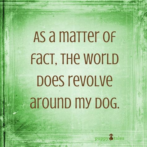 Dog truths Lou Dog, Love My Dog, Dog Rules, Dogs Of The World, Animal Quotes, Dog Quotes, My Dog, Border Collie, Shih Tzu