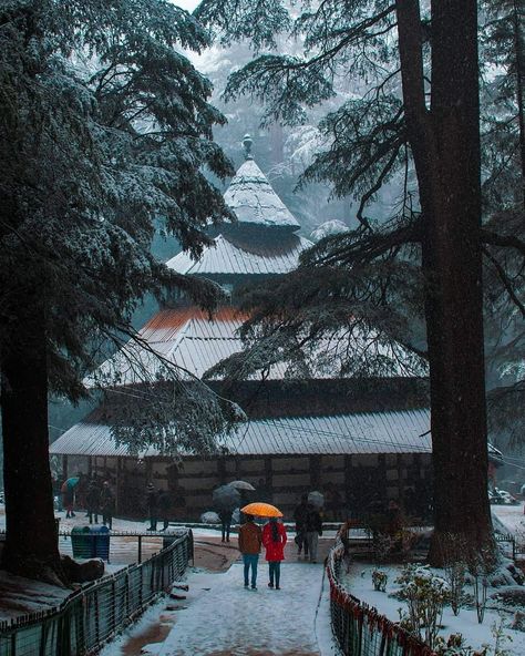 Hadimba Temple Manali, Manali Aesthetic, Devi Temple, Nature Rain, Tempo Traveller, Power Of Imagination, Travel Photoshoot, Mountain Pictures, Cool Boy Image